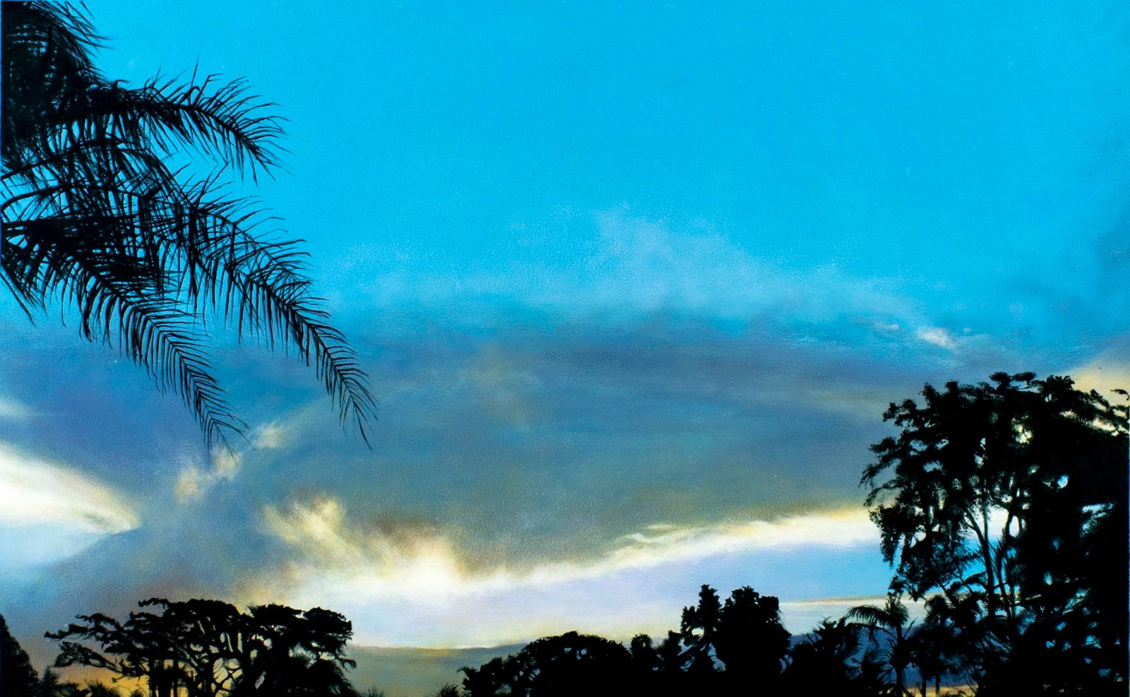 Teresa Ann Frazee (Florida,b 1953) acrylic painting: ARTIST: Teresa Ann Frazee (FL,born 1953) TITLE: Tropical Sunset Landscape MEDIUM: acrylic on board CONDITION: Very good. No visible inpaint under UV light. ART SI