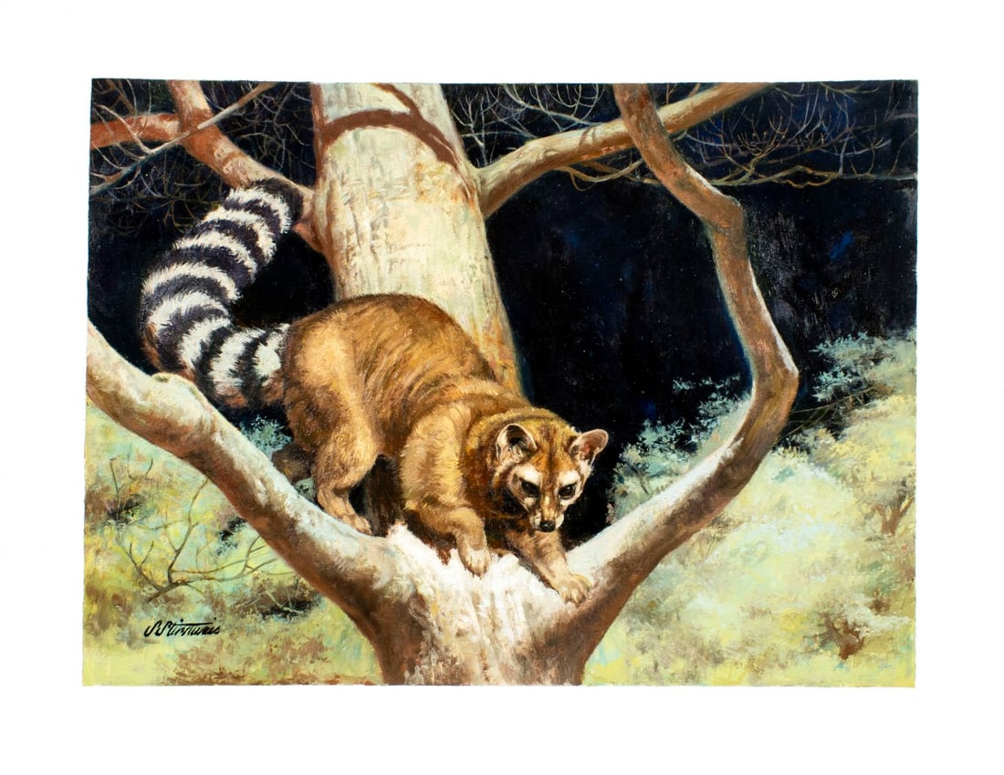 Shannon Stirnweis (AZ,NY,NH,OR,1931-2019) oil painting - 3