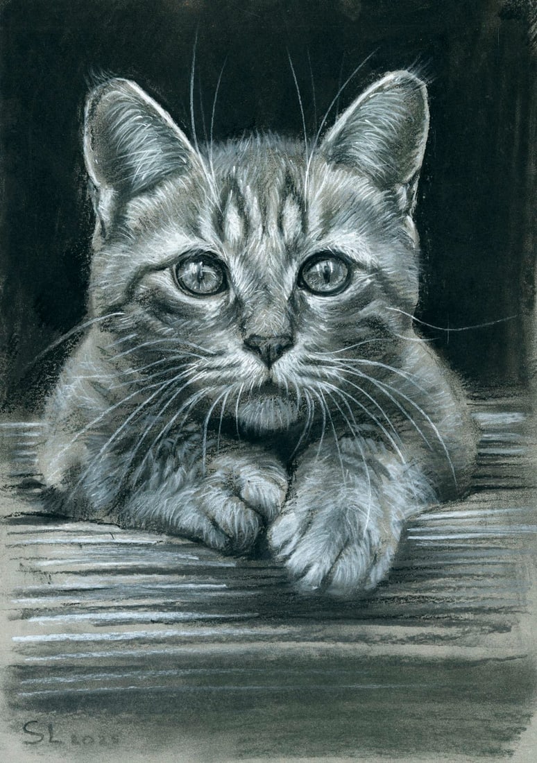 Lyudmila Siabro (Ukraine,20/21C) pastel painting: ARTIST: Lyudmila Siabro (Ukrainian, 20/21 centuries) TITLE: Cat MEDIUM: pastel on heavy paper CONDITION: Very good. ART SIZE: 12 x 8 inches / 30 x 20 cm<