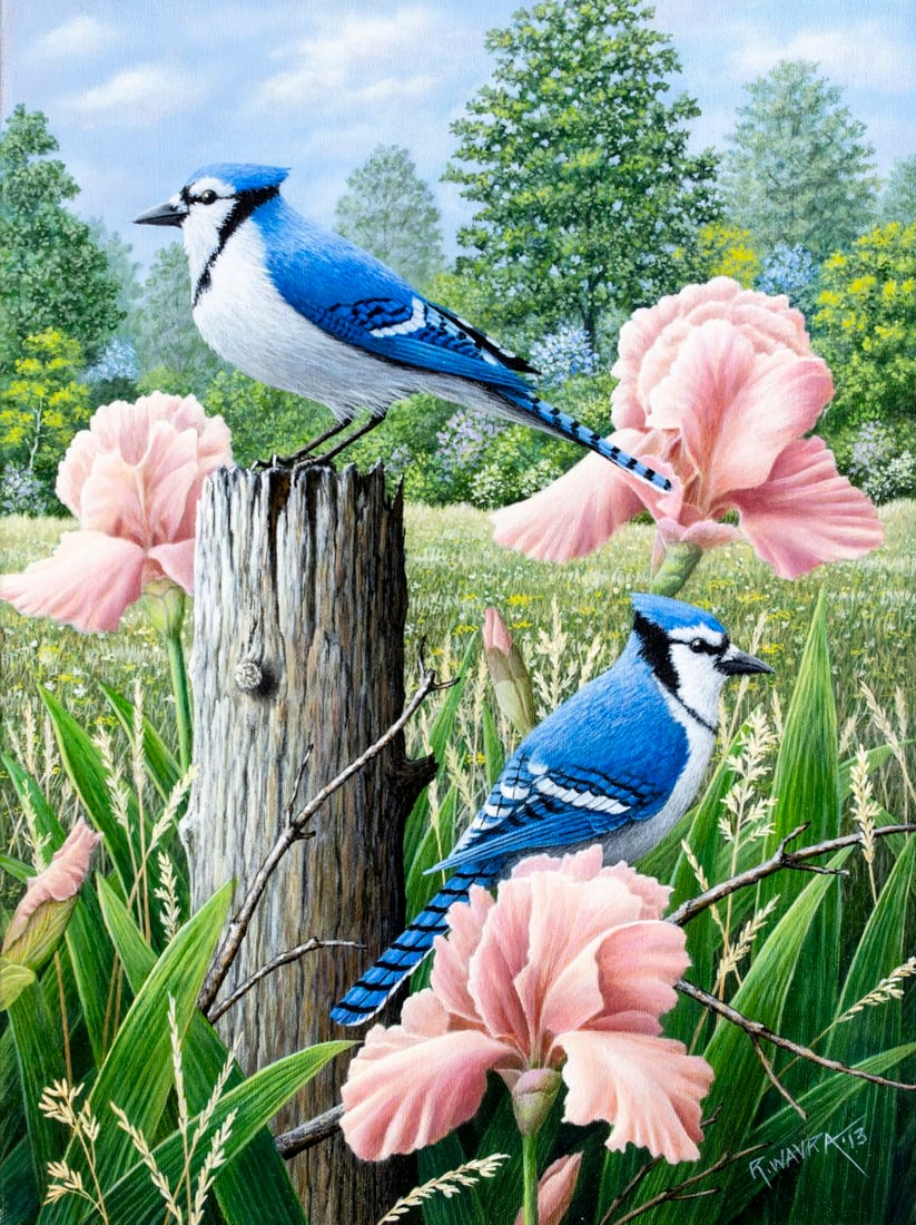 Robert Wavra (IN,20/21C) acrylic painting: ARTIST: Robert Wavra (Indiana, 20/21 centuries) TITLE: Blue Jay Birds with Flowers YEAR: 2013 MEDIUM: acrylic on canvas CONDITION: Very good. No visible