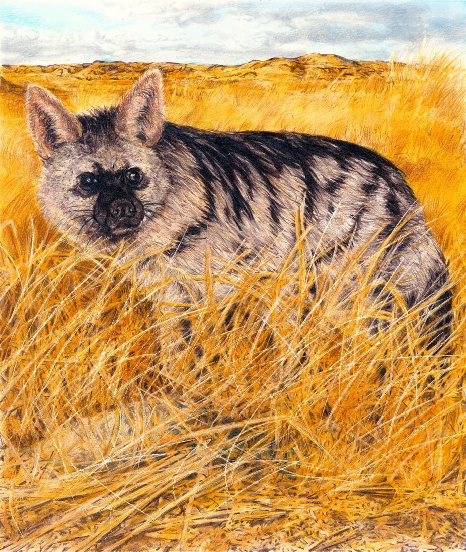 Chris Calle (CT,born 1961) colored pencil painting: ARTIST: Chris Calle (Connecticut, born 1961) TITLE: Aardwolf (titled on verso) YEAR: 2001 MEDIUM: colored pencil on board CONDITION: Very good.