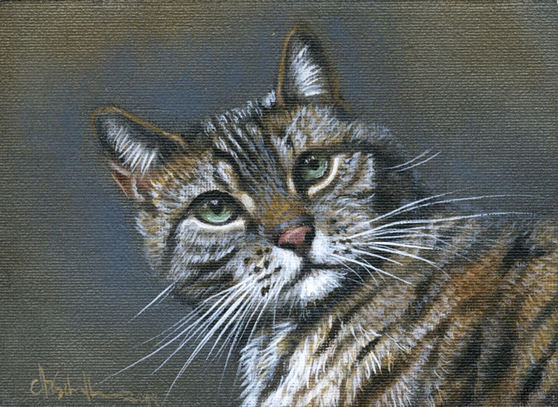 Christina Schulte (German,20/21C) oil painting: ARTIST: Christina Schulte (Germany, 20/21 centuries) TITLE: Tabby Cat YEAR: 2019 MEDIUM: oil on canvas. Canvas applied to board. CONDITION: Very good. No