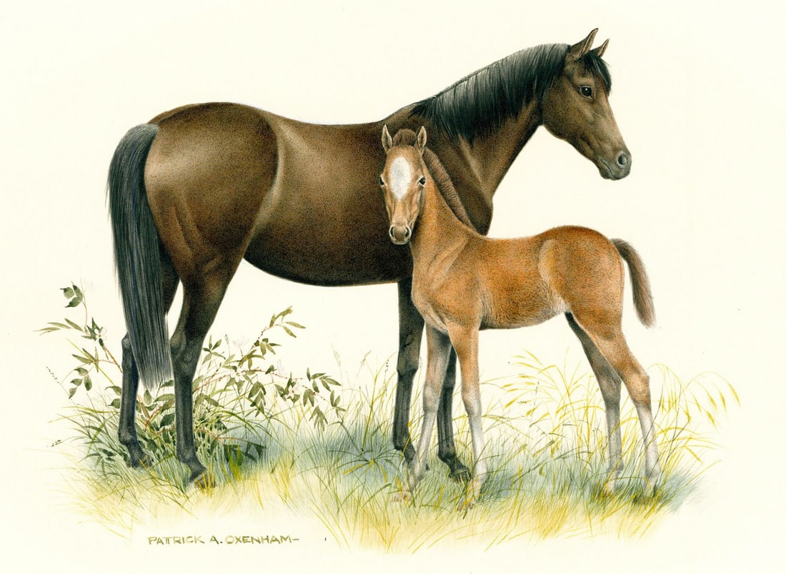 Patrick Oxenham (UK,1922-1996) watercolor painting (1 of 12)