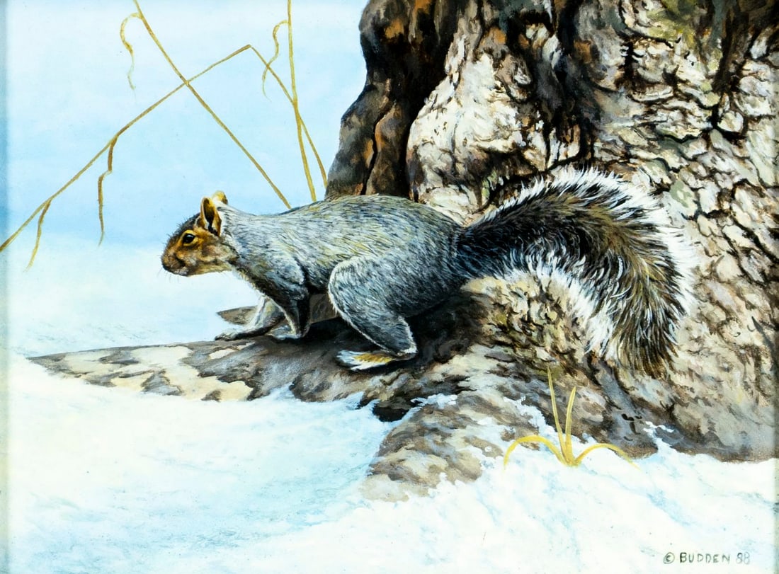 Michael Budden (NJ,NY,b 1957) oil painting: ARTIST: Michael Budden (New Jersey, New York, born 1957) TITLE: Winter Walk - Grey Squirrel (titled on verso) YEAR: 1988 MEDIUM: oil on board CONDITION: