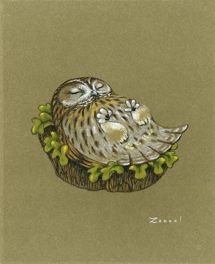 Deborah Bell Jarratt (PA,20/21C) pastel painting: ARTIST: Deborah Bell Jarratt (Pennsylvania, 20/21 centuries) TITLE: Sleeping Owl - Zzzzz YEAR: 1980s MEDIUM: pastel on paper. Paper applied to board. CONDITION:</