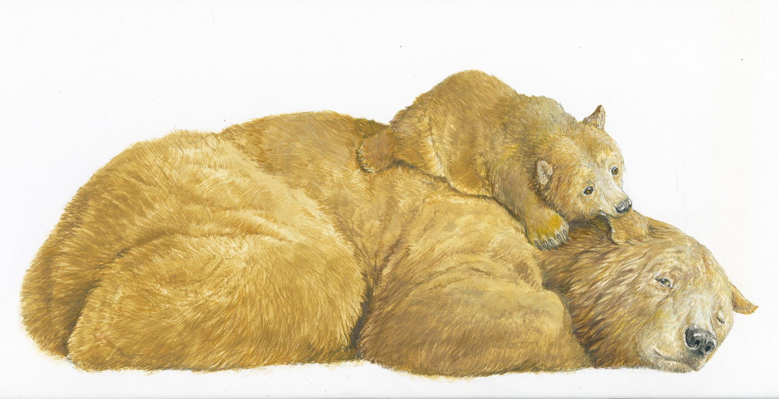 Gianni Benvenuti (Italy,PA,1926-2005) gouache painting: ARTIST: Gianni Benvenuti (Italian, Pennsylvania, 1926 - 2005) TITLE: Brown Bear - Mother and Child YEAR: 1983 MEDIUM: gouache on board CONDITION: Overa