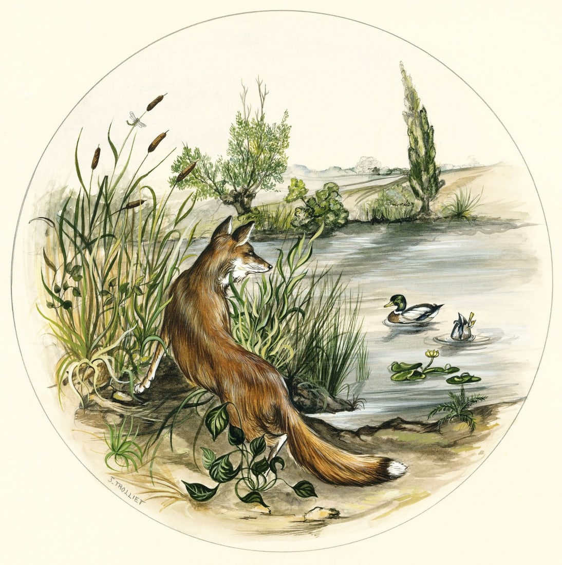 Jerome Trolliet (France,20C) gouache painting: ARTIST: Jerome Trolliet (French, 20 century) TITLE: Fox Eyeing Ducks (titled on verso) YEAR: 1986 MEDIUM: gouache on heavy paper CONDITION: Minor age ton