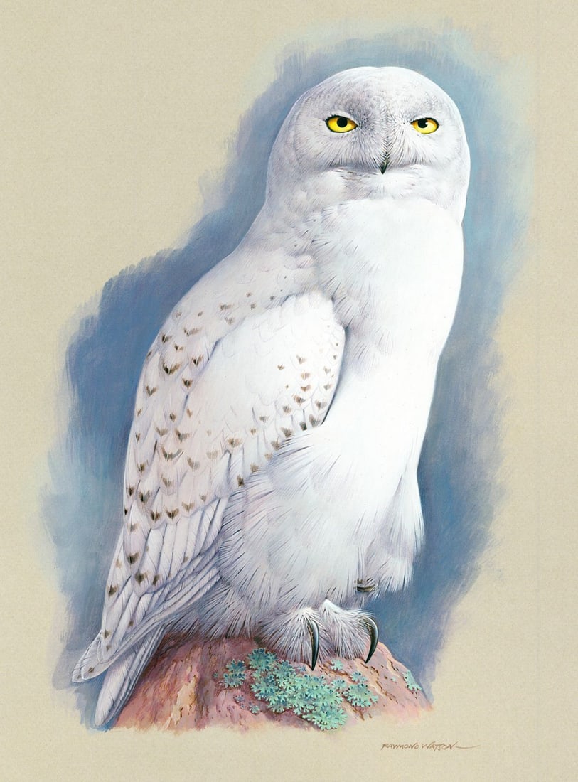 Raymond C Watson (UK,1935-1994) gouache painting (1 of 12)