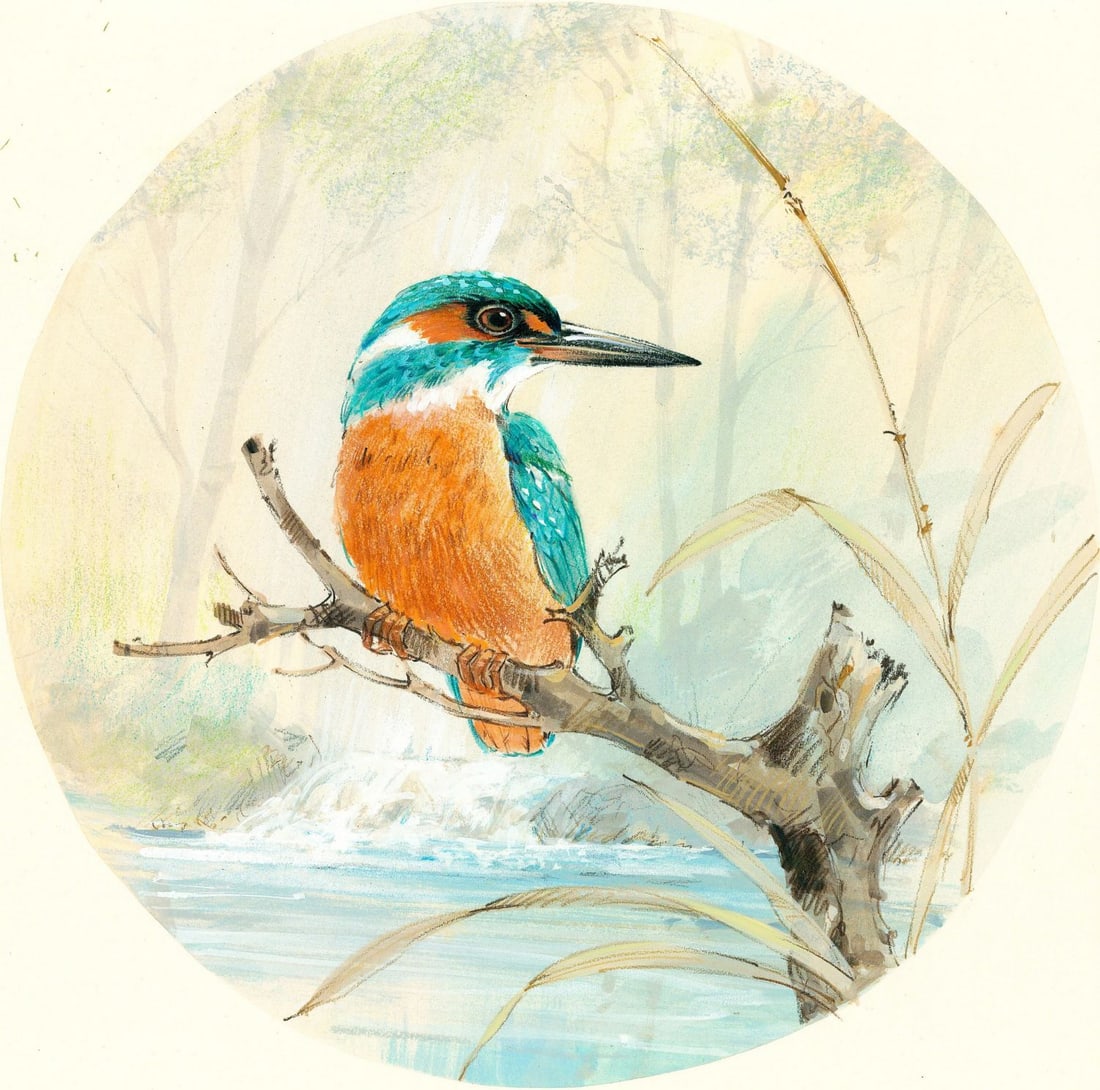Al Fishman (PA,20C) gouache painting: ARTIST: Alan Fishman (Pennsylvania, 20 century) TITLE: Kingfisher Bird YEAR: 1984 MEDIUM: gouache on board CONDITION: Minor foxing. Minor age toning.