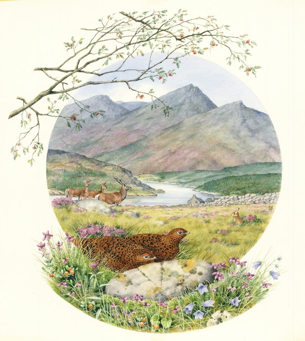 Peter Barrett (UK,1935-?) watercolor painting (1 of 13)