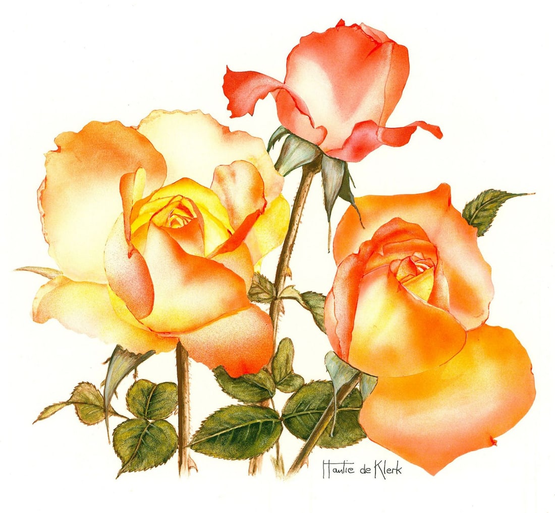 Hantie de Klerk (20C) gouache painting: ARTIST: Hantie de Klerk (20 century) TITLE: Roses - Southern Sun (titled on verso) MEDIUM: gouache on board CONDITION: Few small faint scratches. Minor age toning.