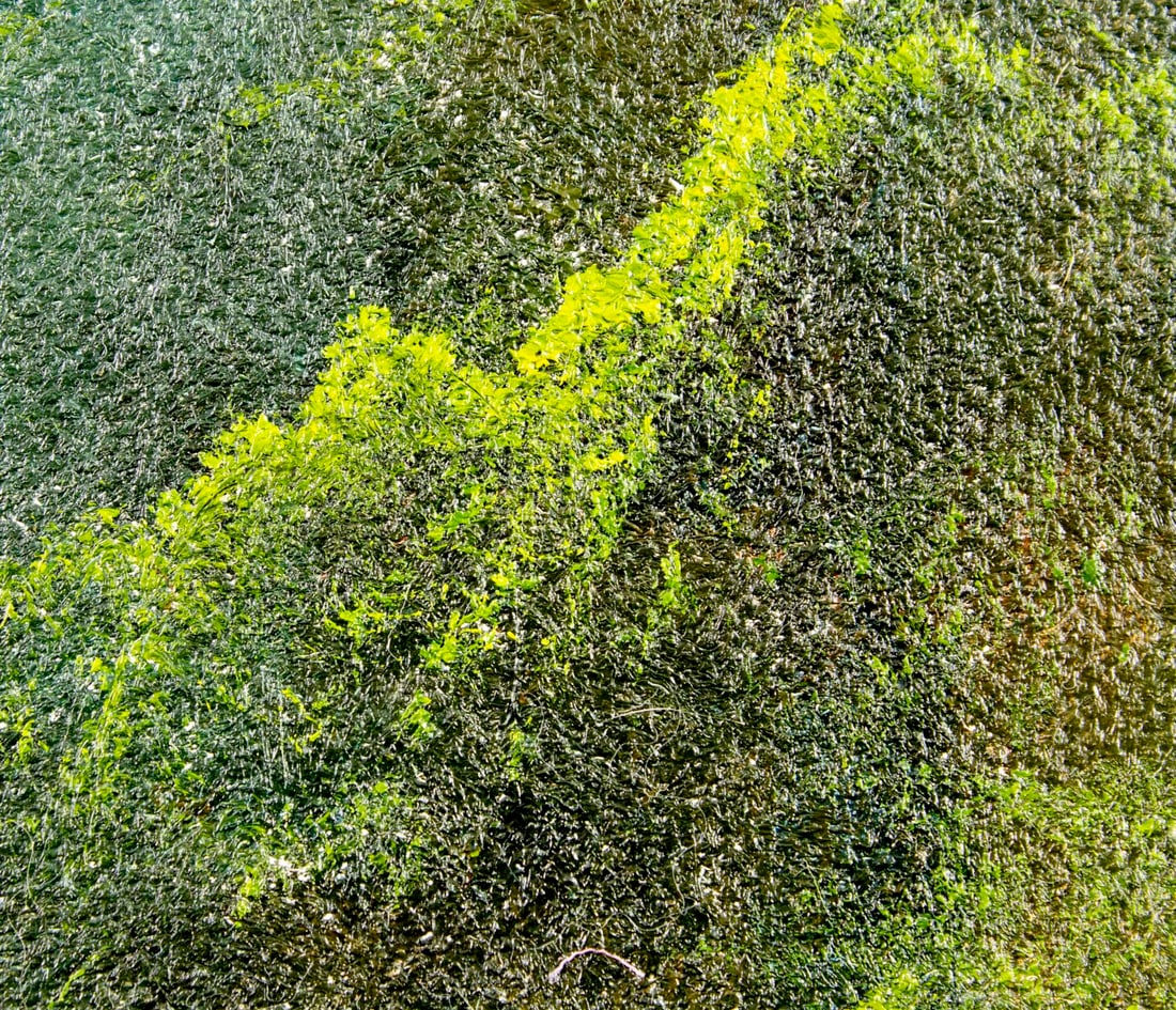 Ron Williams (TN,1947-2016) oil painting - 8
