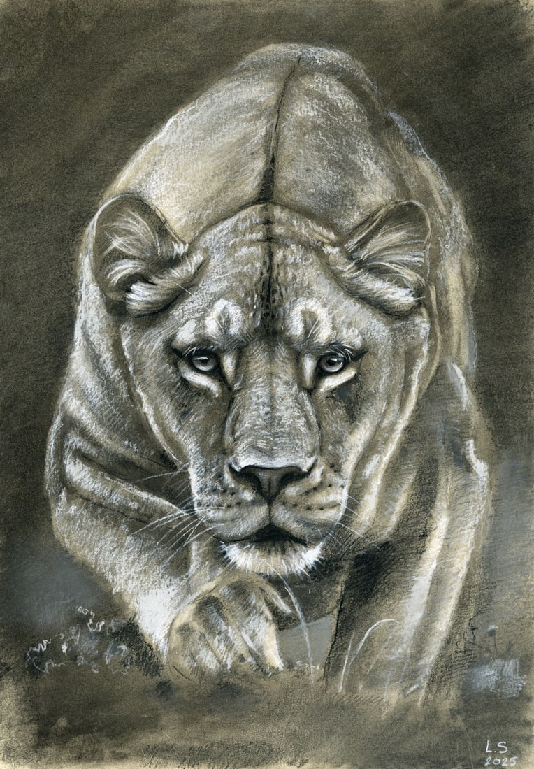 Lyudmila Siabro (Ukraine,20/21C) pastel painting: ARTIST: Lyudmila Siabro (Ukrainian, 20/21 centuries) TITLE: Lioness MEDIUM: pastel on heavy paper CONDITION: Very good. ART SIZE: 17 x 12 inches / 43 x 3