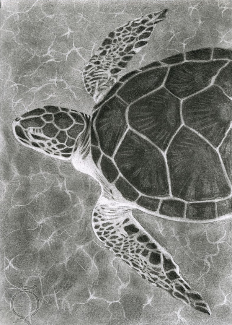 Maria Levischenko (Ukraine,20/21C) pastel painting: ARTIST: Maria Levischenko (Ukrainian, 20/21 centuries) TITLE: Sea Turtle MEDIUM: pastel on heavy paper CONDITION: Very good. ART SIZE: 12 x 8 inches / 30