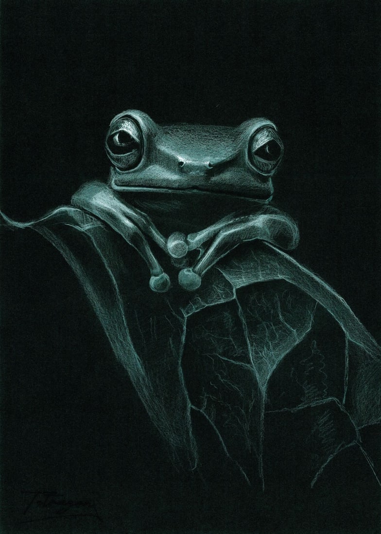Anna Tetragon (Ukraine,20/21C) pastel painting: ARTIST: Anna Tetragon (Ukrainian, 20/21 centuries) TITLE: Frog on Leaf MEDIUM: pastel on heavy paper CONDITION: Very good. ART SIZE: 12 x 8 inches / 30 x