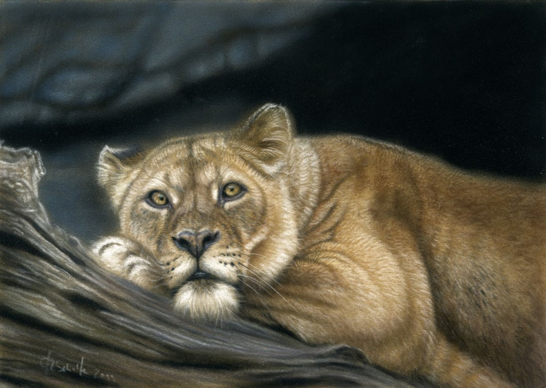 Christina Schulte (German,20/21C) pastel painting: ARTIST: Christina Schulte (Germany, 20/21 centuries) TITLE: Lioness YEAR: 2019 MEDIUM: pastel on board CONDITION: Few minor scratches/paint losses.