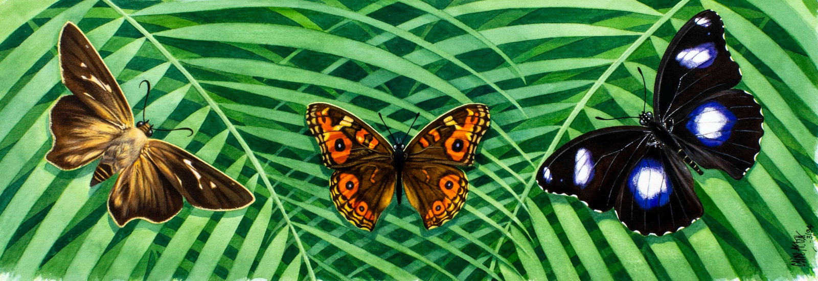 Clive Abbott (UK,1933-2008) watercolor painting: ARTIST: Clive Abbott (United Kingdom, 1933 – 2008) TITLE: Butterflies (titled on verso) YEAR: 1994 MEDIUM: watercolor on paper. Paper applied to board. CONDITION: