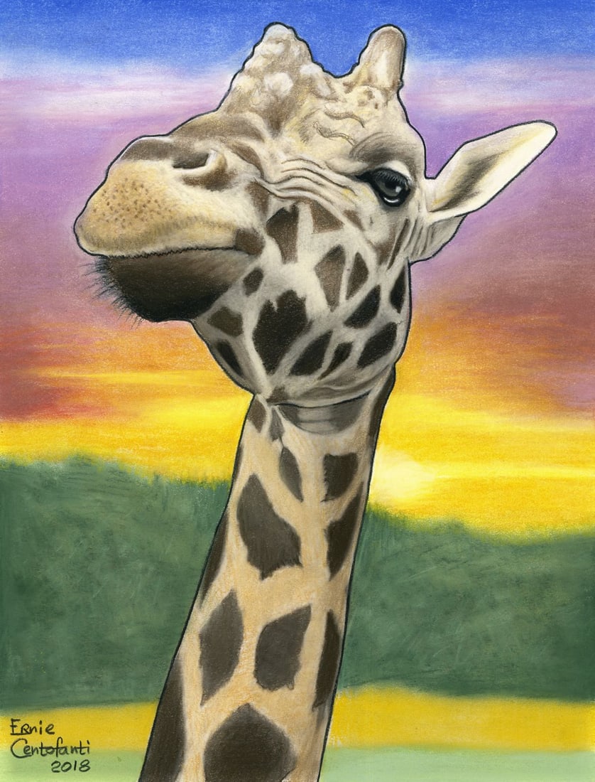 Ernie Centofanti (CA,b 1956) pastel painting: ARTIST: Ernie Centofanti (California, born 1956) TITLE: Giraffe at Sunset YEAR: 2018 MEDIUM: pastel on paper CONDITION: Few minor paint losses.