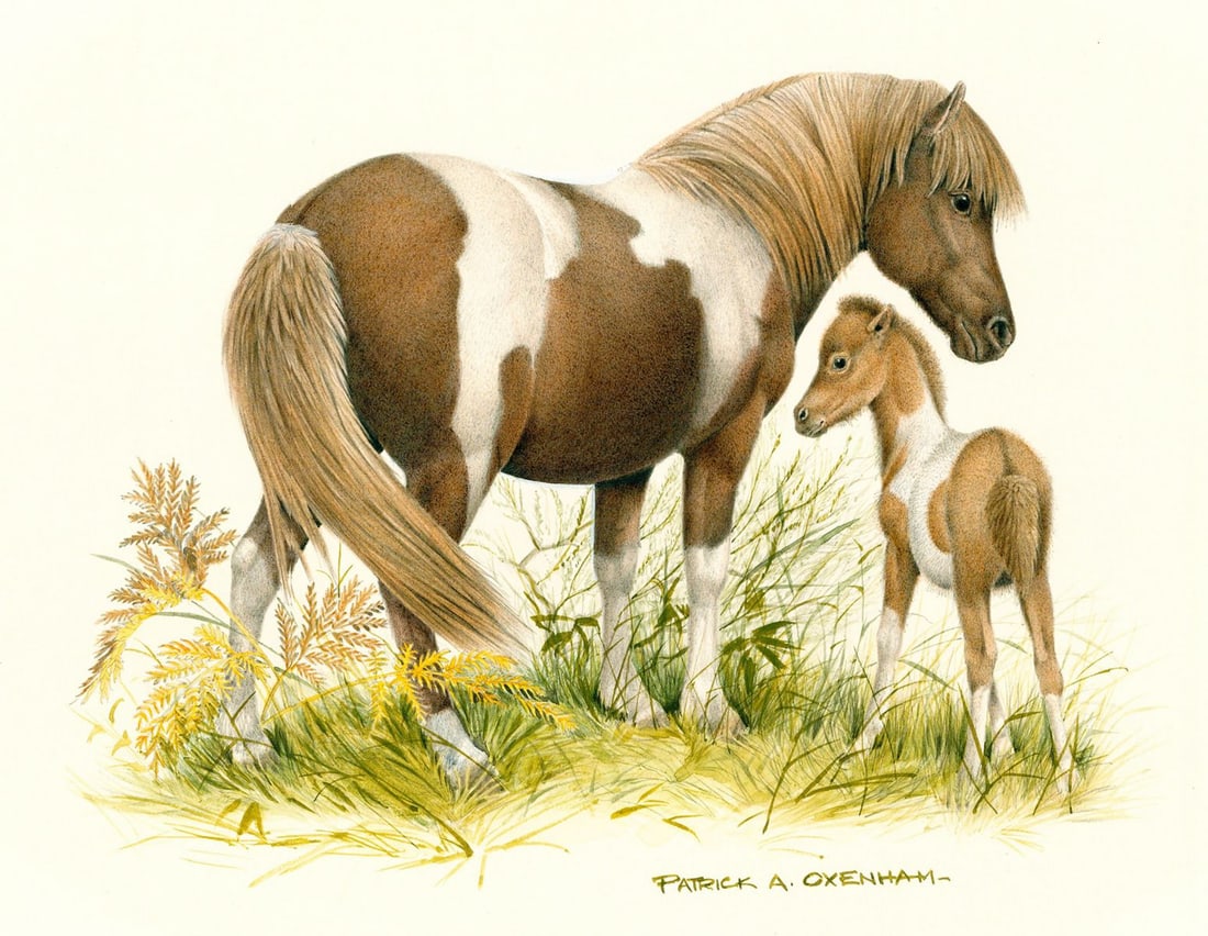 Patrick Oxenham (UK,1922-1996) watercolor painting: ARTIST: Patrick Oxenham (United Kingdom, 1922 - 1996) TITLE: Horses YEAR: 1979 MEDIUM: watercolor on board CONDITION: Minor age toning. ART