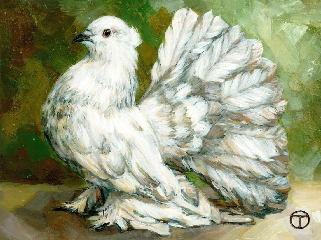 Olia Tomkova (Ukraine,b 1993) acrylic painting: ARTIST: Olia Tomkova (Ukrainian, born 1993) TITLE: White Fantail Pigeon Bird (titled on verso) MEDIUM: acrylic on board CONDITION: Very good. No visible inpaint under UV lig