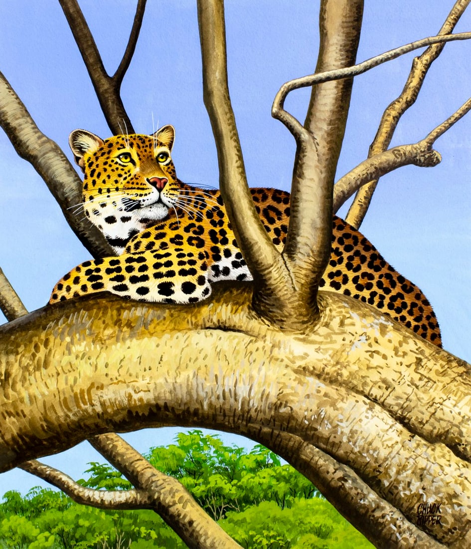 Chuck Ripper (WV,PA,1929-2019) gouache painting: ARTIST: Chuck Ripper (West Virginia, Pennsylvania, 1929 - 2019) TITLE: Leopard (titled on verso) YEAR: 2000 MEDIUM: gouache on board CONDITION: Very go