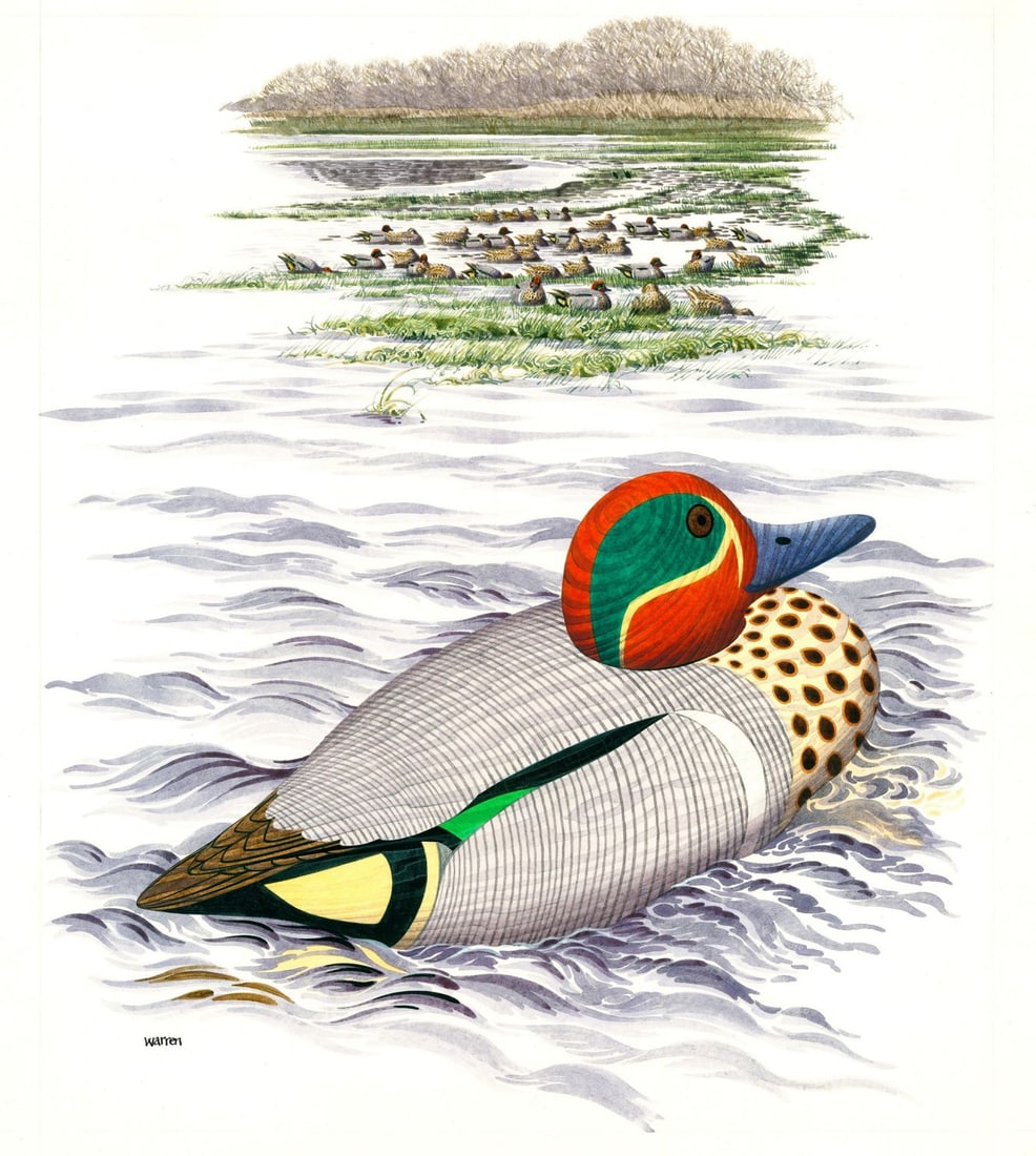 Michael Warren (UK,1938-?) watercolor painting: ARTIST: Michael Warren (United Kingdom, 1938 - ???) TITLE: Green-winged Teal Decoy Duck (titled on verso) YEAR: 1984 MEDIUM: watercolor on heavy paper CONDITION