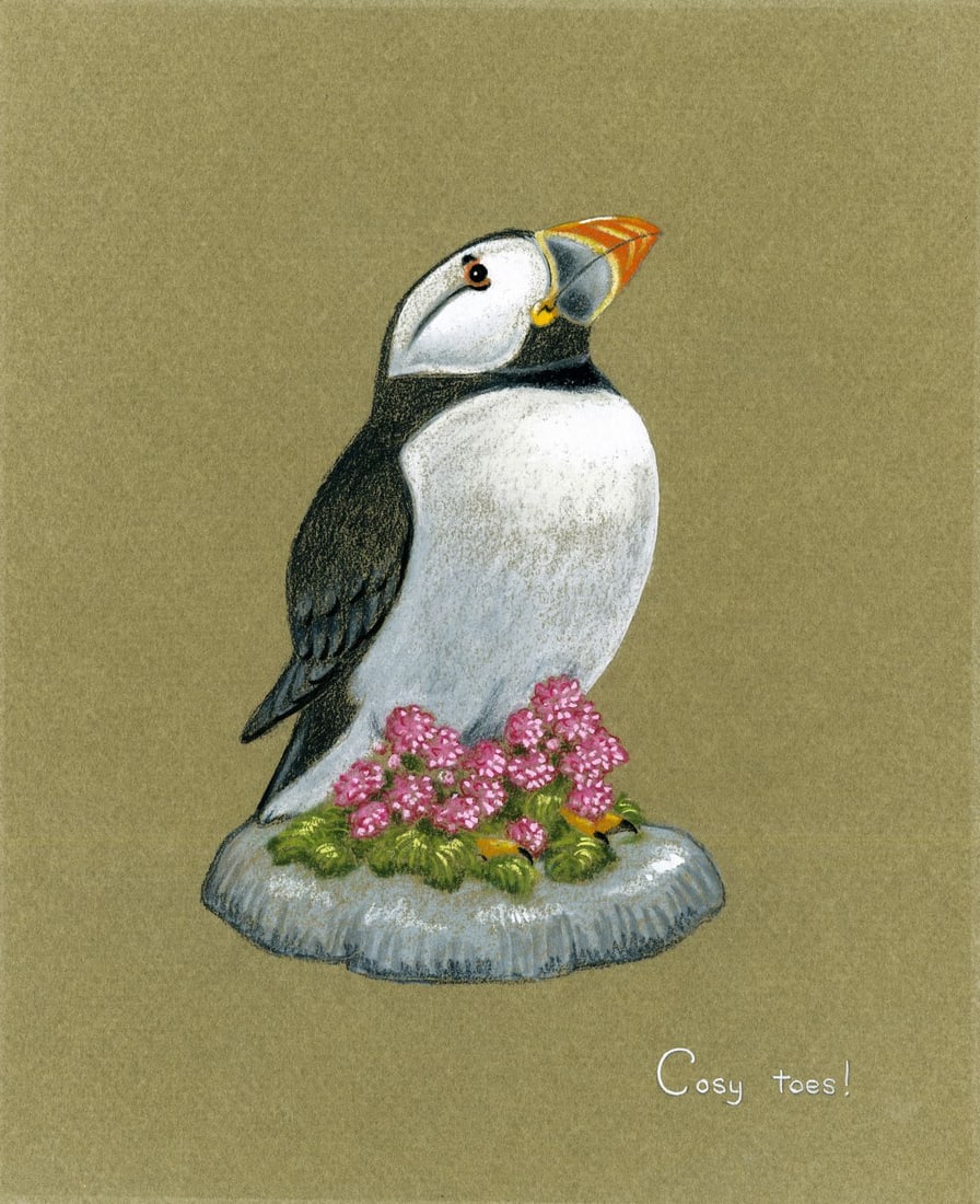 Deborah Bell Jarratt (PA,20/21C) pastel painting: ARTIST: Deborah Bell Jarratt (Pennsylvania, 20/21 centuries) TITLE: Puffin Bird - Cosy Toes MEDIUM: pastel on paper. Paper applied to board. CONDITION: Overall good.