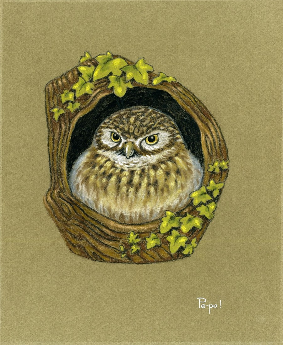 Deborah Bell Jarratt (PA,20/21C) pastel painting: ARTIST: Deborah Bell Jarratt (Pennsylvania, 20/21 centuries) TITLE: Owl Bird - Pe-po YEAR: 1980s MEDIUM: pastel on paper. Paper applied to board. CONDITION: