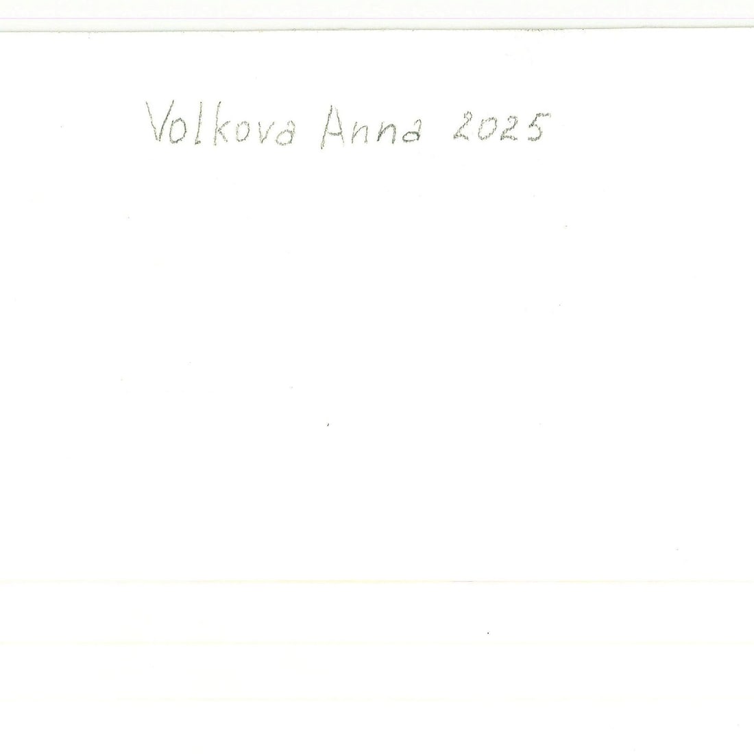 Anna Volkova (Ukraine,20/21C) oil painting - 4