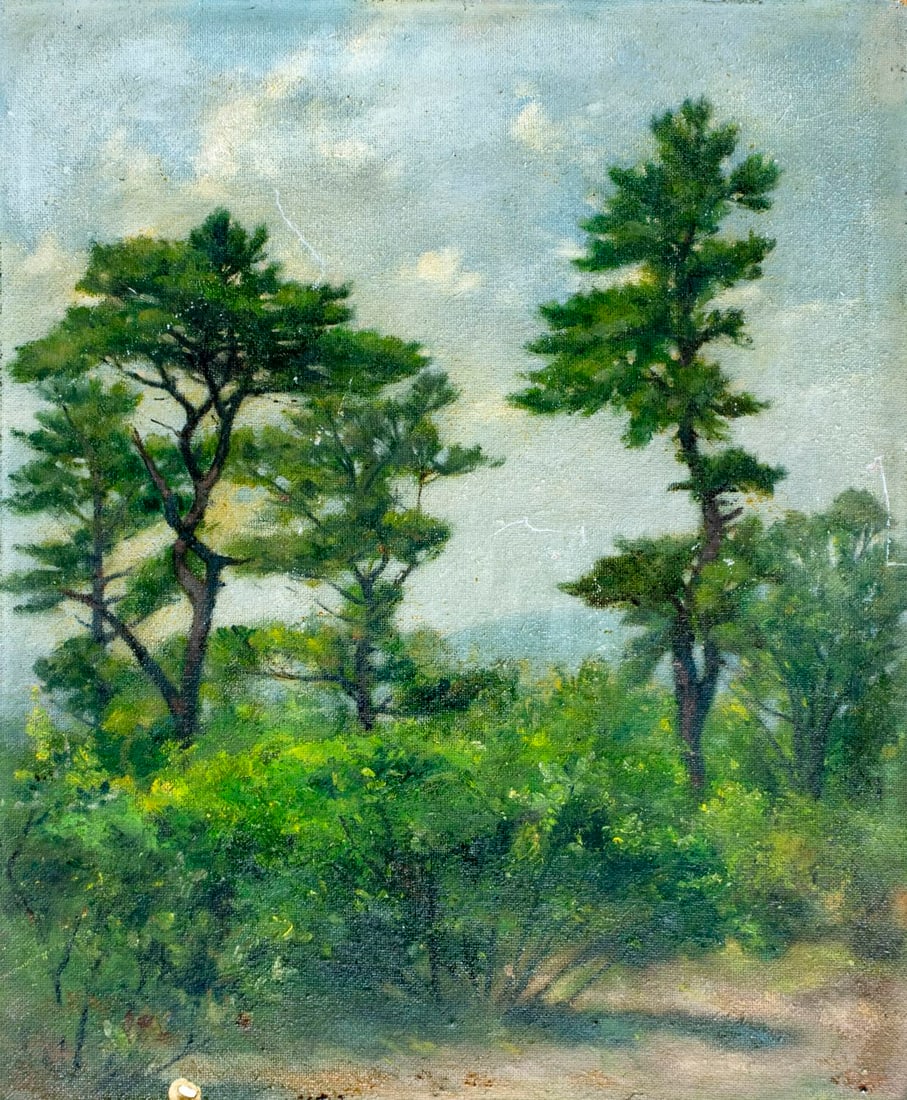 Vintage 20C American oil painting: ARTIST: - (American, 20 century) TITLE: Forest Landscape MEDIUM: oil on board CONDITION: Some small damages to corners. One repaired hole by the lower edge. Some scratches