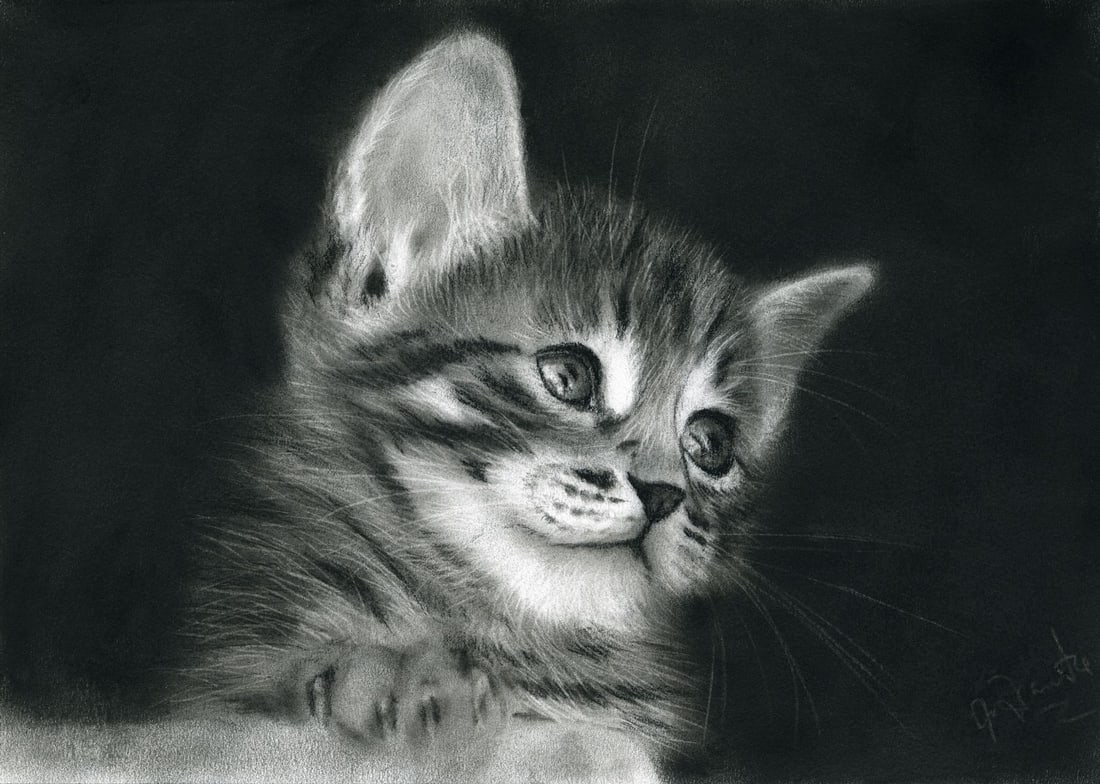 Vintage 20C pastel painting signed: ARTIST: - (20 century) TITLE: Cat MEDIUM: pastel on paper CONDITION: Very good. ART SIZE: 8 x 12 inches / 20 x 30 cm FRAME SIZE: unfr