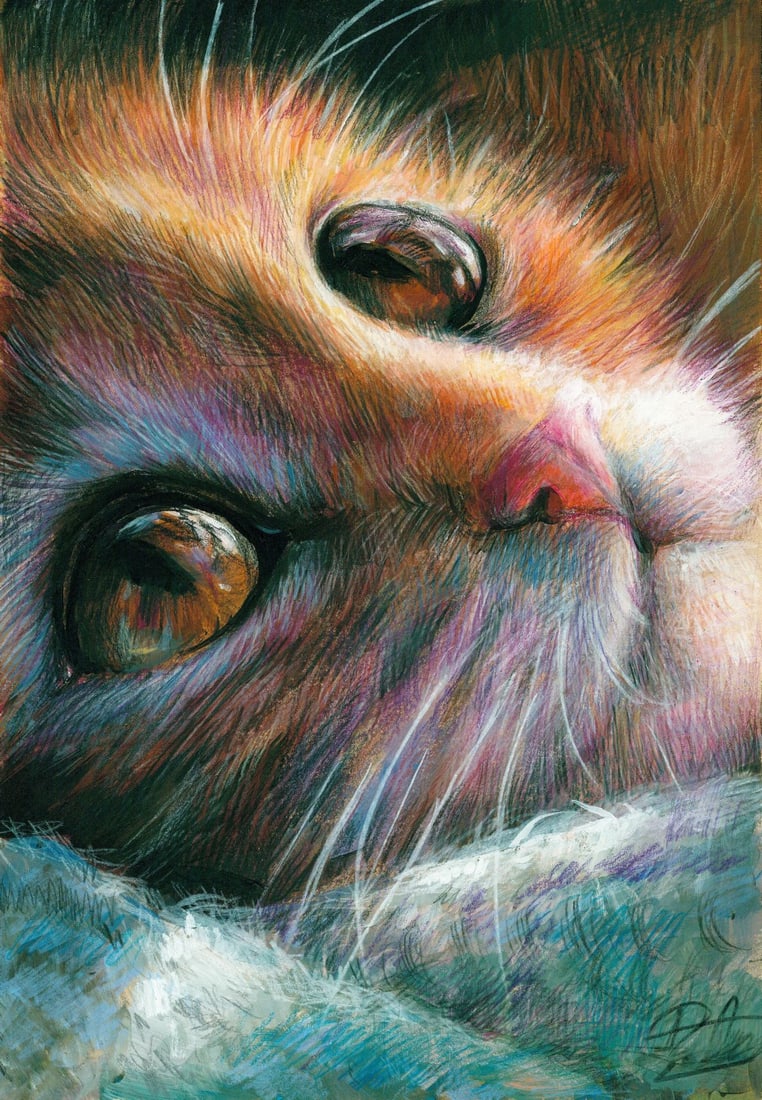 Alena Dmytrazh (Ukraine,b 1989) colored pencil painting: ARTIST: Alena Dmytrazh (Ukrainian, born 1989) TITLE: Cat MEDIUM: colored pencil on heavy paper CONDITION: Very good. ART SIZE: 12 x 8 inches / 30 x 20 cm