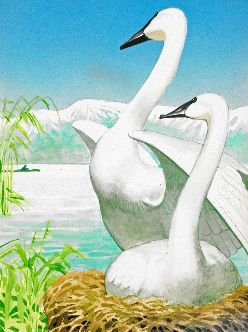 Alex Bloch (US,20C) watercolor painting: ARTIST: Alex Bloch (American, 20 century) TITLE: White Swans MEDIUM: watercolor on heavy paper CONDITION: Some age toning. ART SIZE: 8 x 6 inches / 20 x