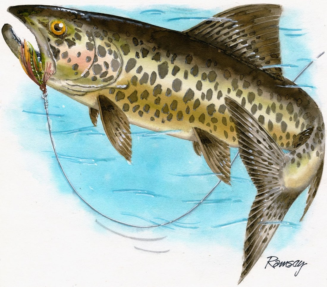 Bill Ramsey (US,b 1951) watercolor painting: ARTIST: Bill Ramsey (American, born 1951) TITLE: Transkei Fishing Flies - Landlocked Salmon (titled on verso) YEAR: 1981 MEDIUM: watercolor on board CONDITION: