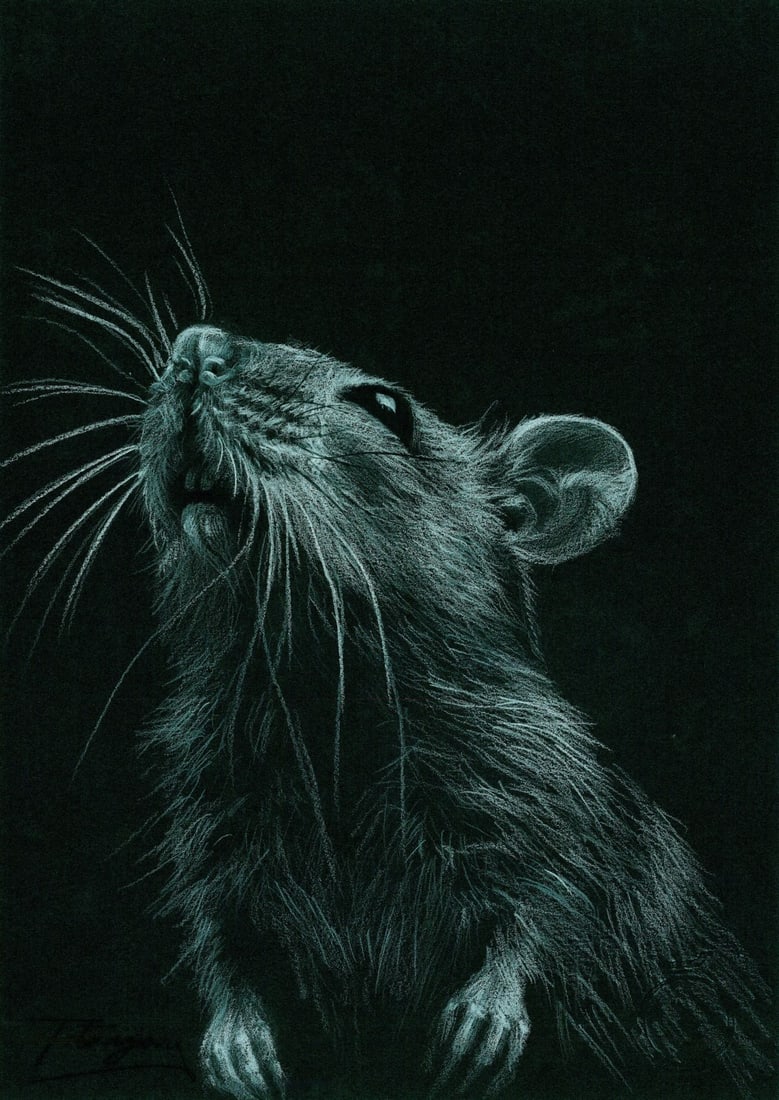 Anna Tetragon (Ukraine,20/21C) pastel painting: ARTIST: Anna Tetragon (Ukrainian, 20/21 centuries) TITLE: Rat MEDIUM: pastel on heavy paper CONDITION: Very good. ART SIZE: 12 x 8 inches / 30 x 20 cm