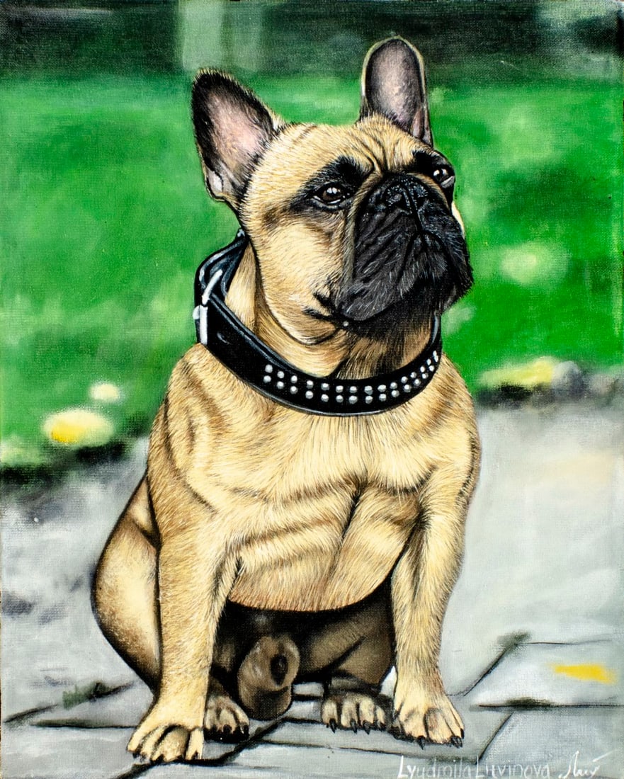 Lyudmila Litvinova (Russia,b 1991) acrylic painting: ARTIST: Lyudmila Litvinova (Russian, born 1991) TITLE: French Bulldog Dog MEDIUM: acrylic on canvas CONDITION: Unstretched (In-House stretching available). Very good. No vis
