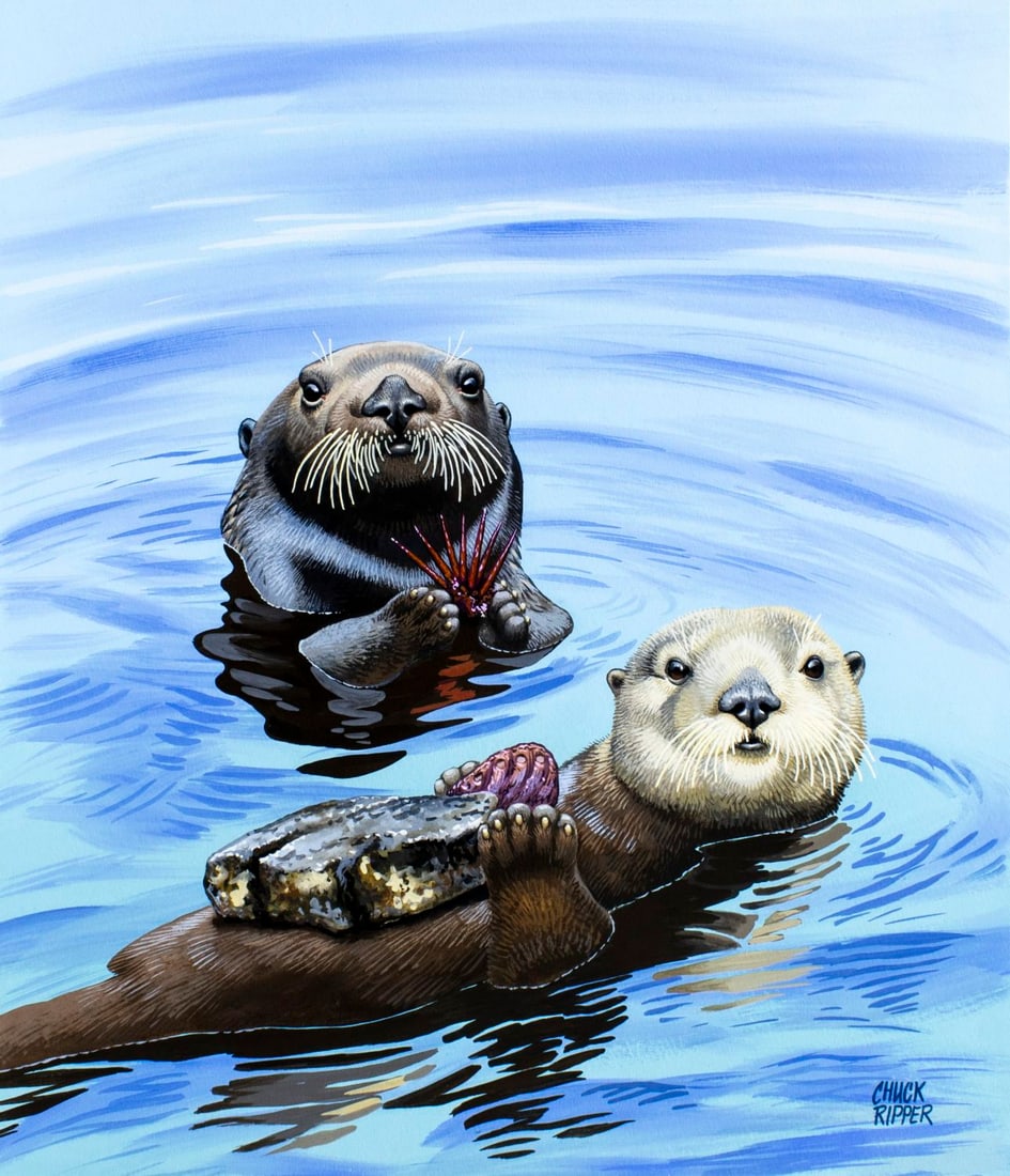 Chuck Ripper (WV,PA,1929-2019) gouache painting: ARTIST: Chuck Ripper (West Virginia, Pennsylvania, 1929 - 2019) TITLE: Sea Otter (titled on verso) YEAR: 1999 MEDIUM: gouache on board CONDITION: Minor