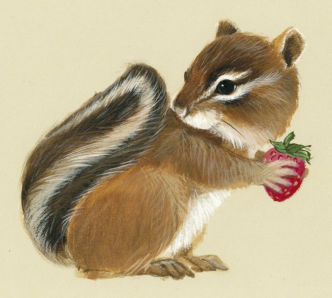 Deborah Bell Jarratt (PA,20/21C) gouache painting: ARTIST: Deborah Bell Jarratt (Pennsylvania, 20/21 centuries) TITLE: Chipmunk YEAR: 1980s MEDIUM: gouache on board CONDITION: Very good. ART SI