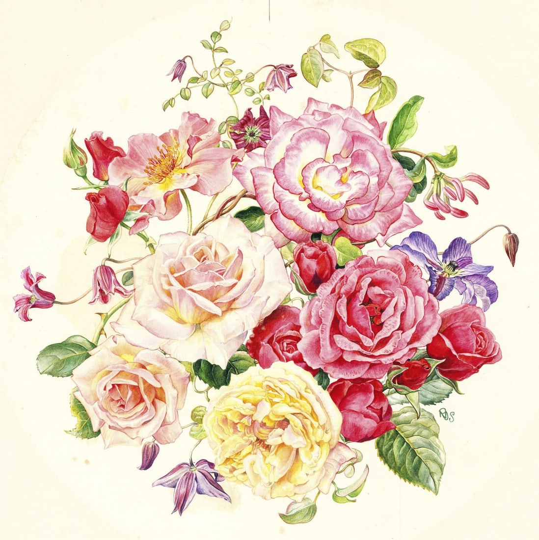 Rosanne Sanders (UK,20/21C) watercolor painting: ARTIST: Rosanne Sanders (United Kingdom, 20/21 centuries) TITLE: Rose Plate (titled on verso) YEAR: 1980s MEDIUM: watercolor on heavy paper CONDITION: So