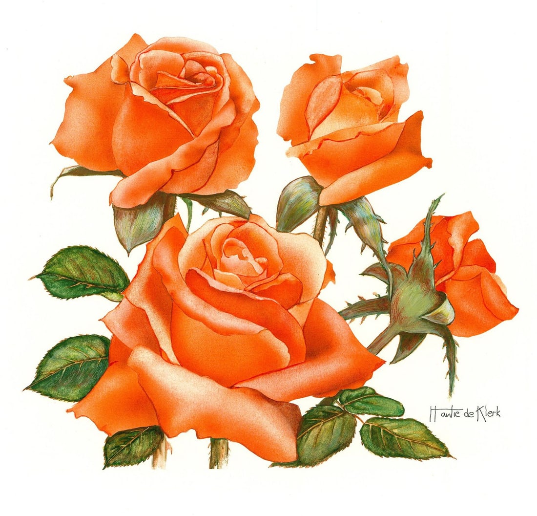 Hantie de Klerk (20C) gouache painting: ARTIST: Hantie de Klerk (20 century) TITLE: Roses (titled on verso) YEAR: 1979 MEDIUM: gouache on board CONDITION: Minor age toning. ART SIZE: