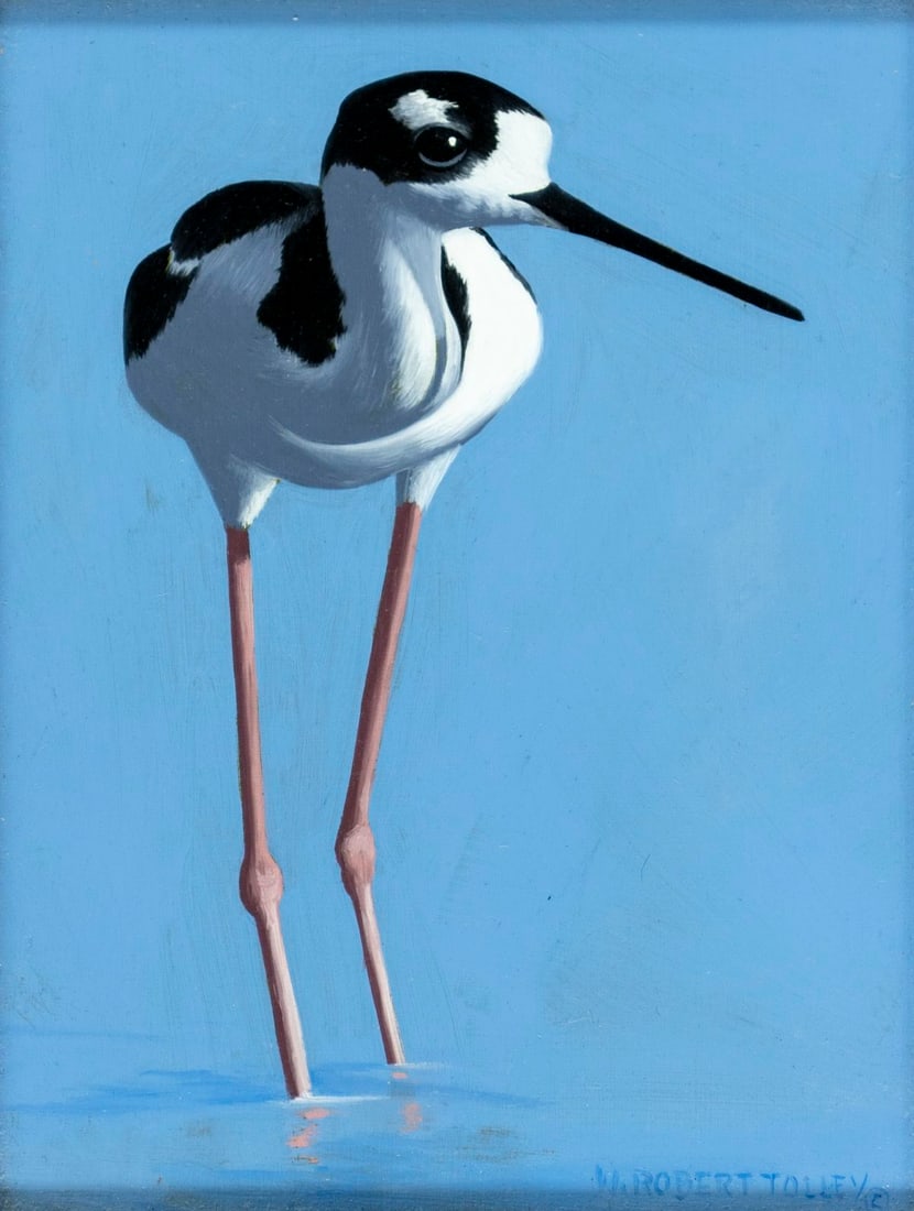 W Robert Tolley (MD,1934-2017) oil painting: ARTIST: W Robert Tolley (Maryland, 1934 - 2017) TITLE: Black-necked Stilt Bird (titled on stretcher) MEDIUM: oil on board CONDITION: Very good. No visible inpaint under UV