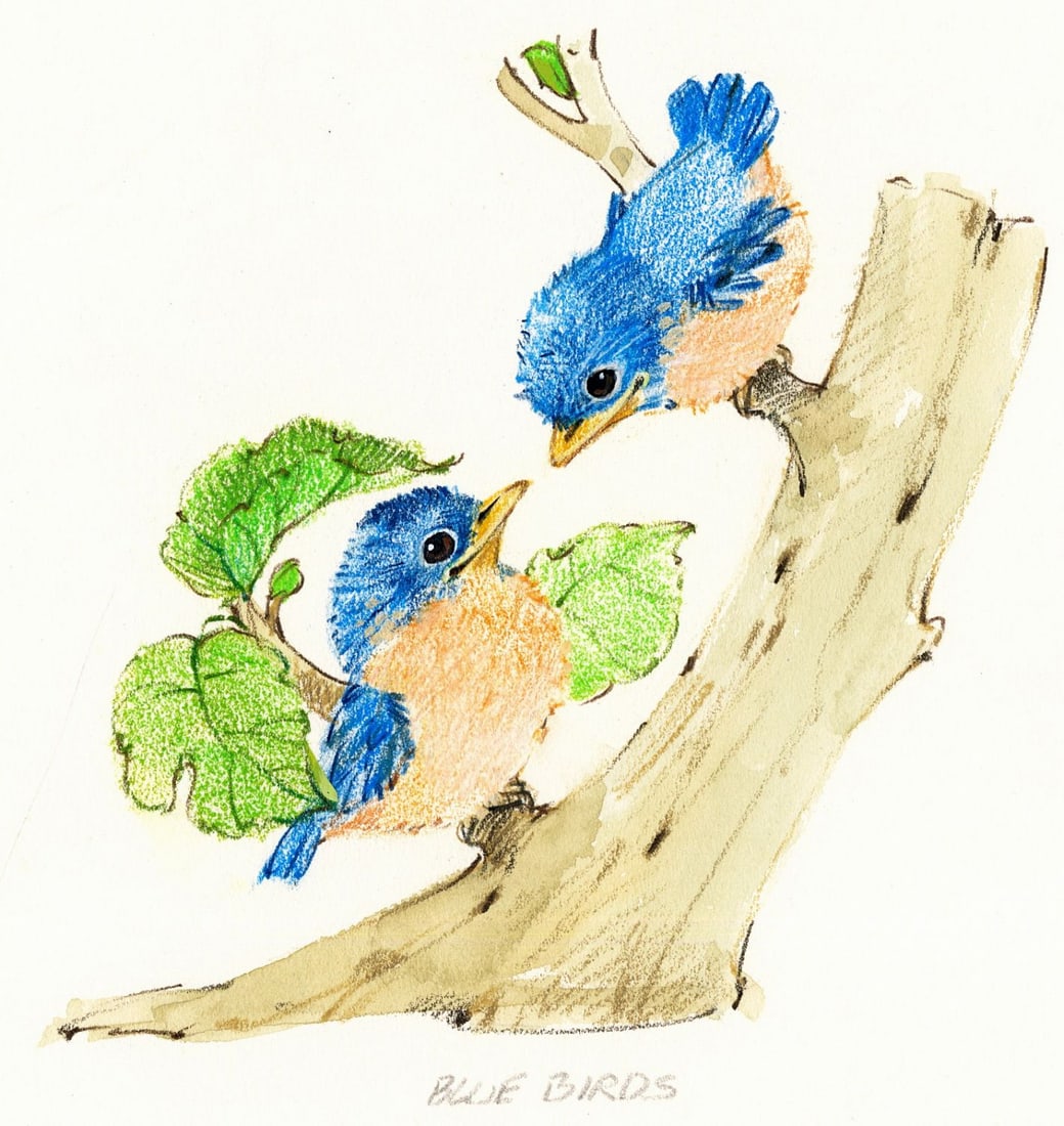 Al Fishman (PA,20C) colored pencil painting: ARTIST: Alan Fishman (Pennsylvania, 20 century) TITLE: Bluebirds YEAR: 1984 MEDIUM: colored pencil on heavy paper CONDITION: Minor age toning.