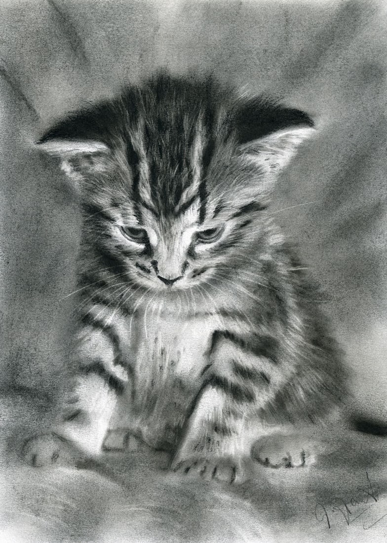 Vintage 20C pastel painting signed: ARTIST: - (20 century) TITLE: Cat MEDIUM: pastel on paper CONDITION: Very good. ART SIZE: 12 x 8 inches / 30 x 20 cm FRAME SIZE: unfr