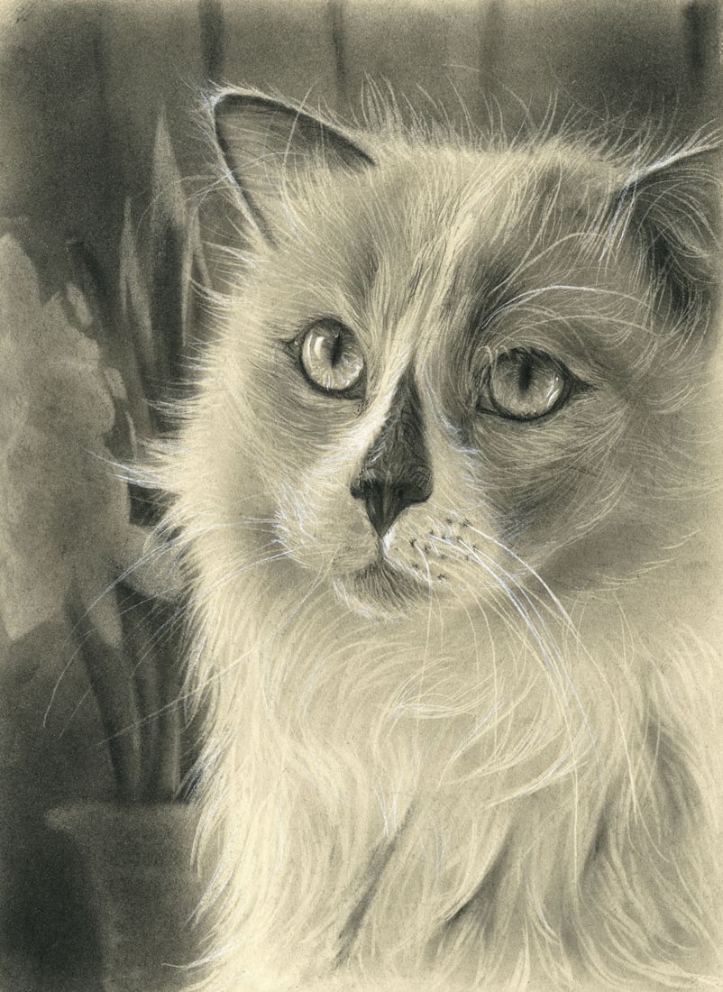 Nadya Tsibushnik (Ukraine,20/21C) pastel painting (1 of 9)