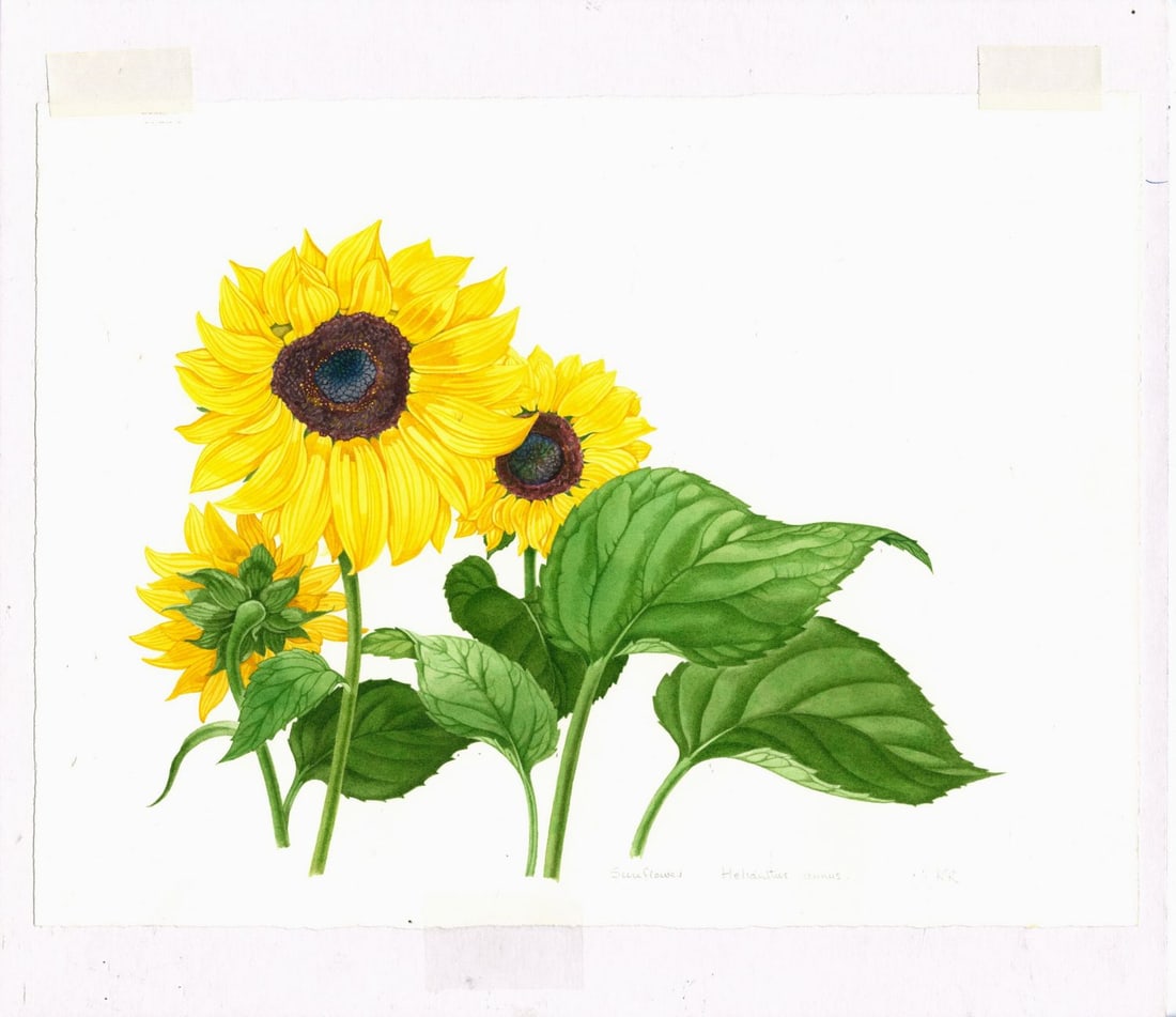 Kristen Rosenberg (UK,1933-?) watercolor painting - 3