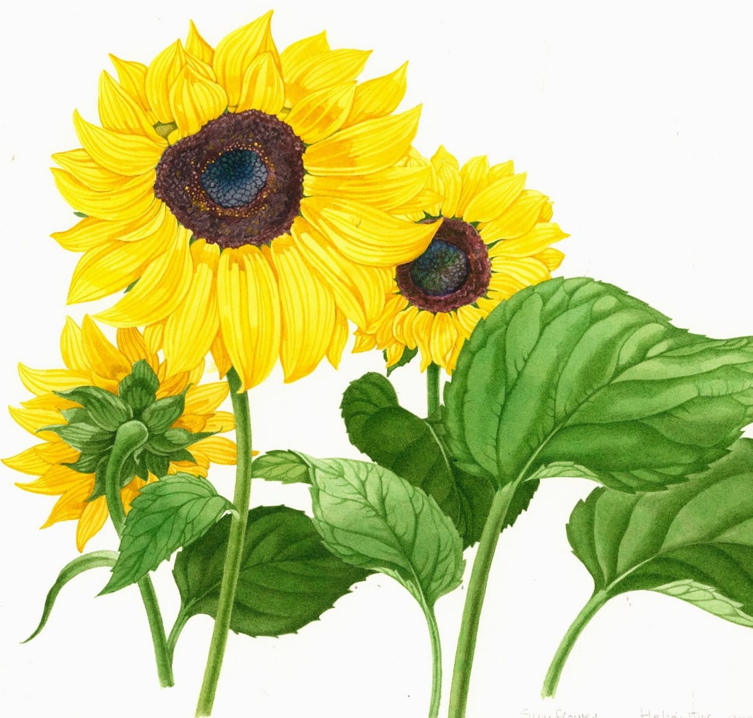 Kristen Rosenberg (UK,1933-?) watercolor painting - 5