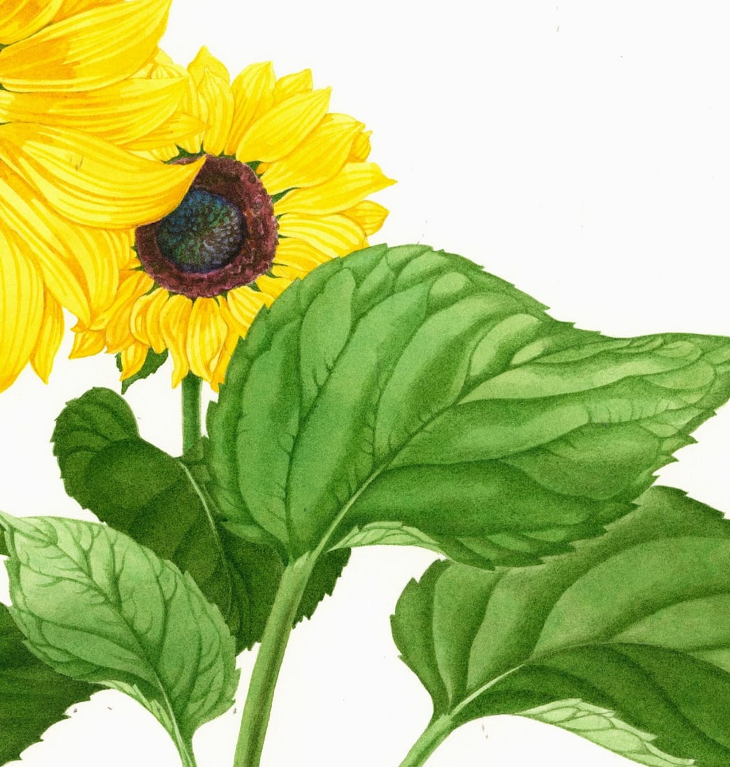 Kristen Rosenberg (UK,1933-?) watercolor painting - 6