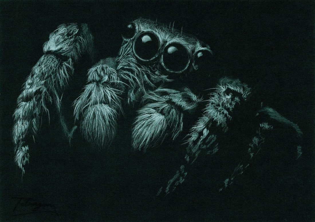 Anna Tetragon (Ukraine,20/21C) pastel painting: ARTIST: Anna Tetragon (Ukrainian, 20/21 centuries) TITLE: Spider MEDIUM: pastel on heavy paper CONDITION: Very good. ART SIZE: 8 x 12 inches / 20 x 30 cm