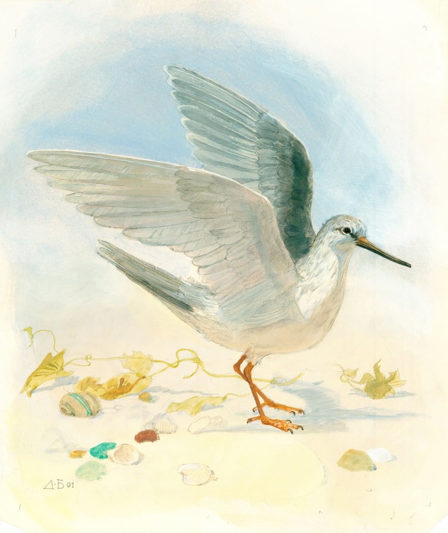 Dmitry Belukin (Russia,b 1962) watercolor painting: ARTIST: Dmitry Anatolyevich Belukin (Russian, born 1962) TITLE: Terek Sandpiper Bird (titled on verso) YEAR: 1991 MEDIUM: watercolor on heavy paper CONDITION: