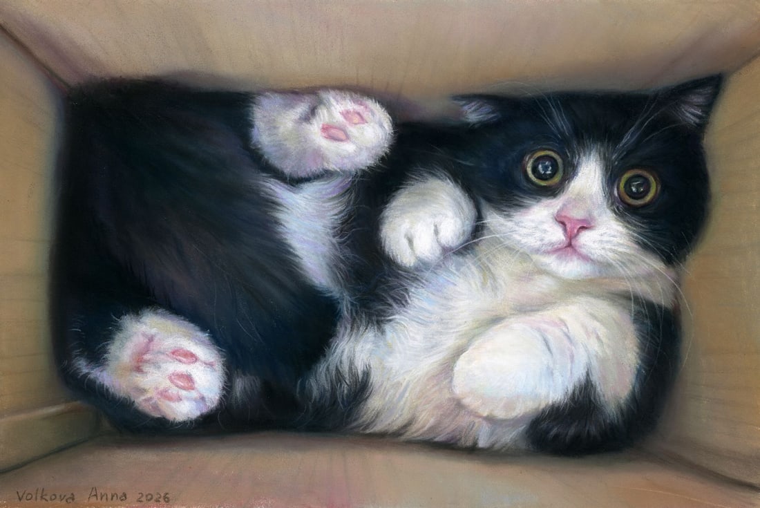 Anna Volkova (Ukraine,20/21C) pastel painting: ARTIST: Anna Volkova (Ukrainian, 20/21 centuries) TITLE: Cat in the Box MEDIUM: pastel on heavy paper CONDITION: Very good. ART SIZE: 8 x 12 inches / 20